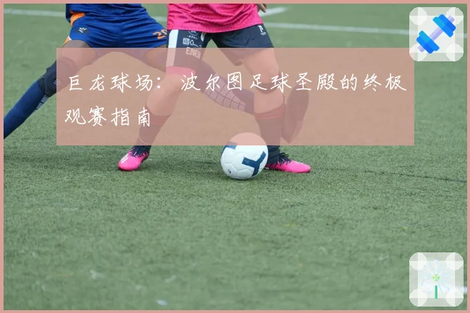 巨龙球场：波尔图足球圣殿的终极观赛指南