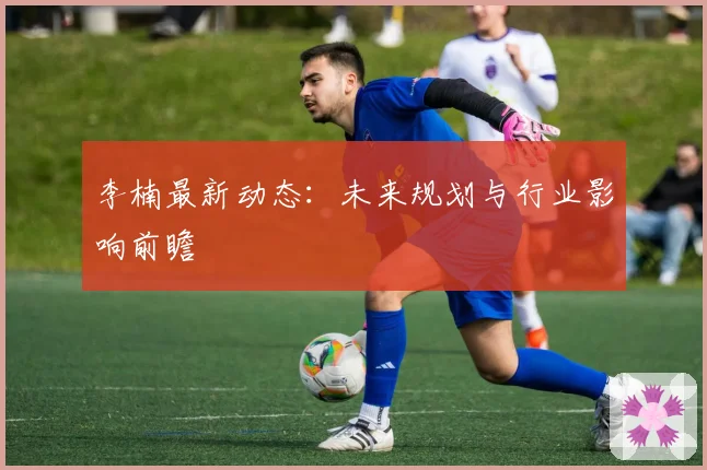 李楠最新动态：未来规划与行业影响前瞻