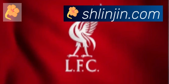 云开全站app登录入口合作伙伴